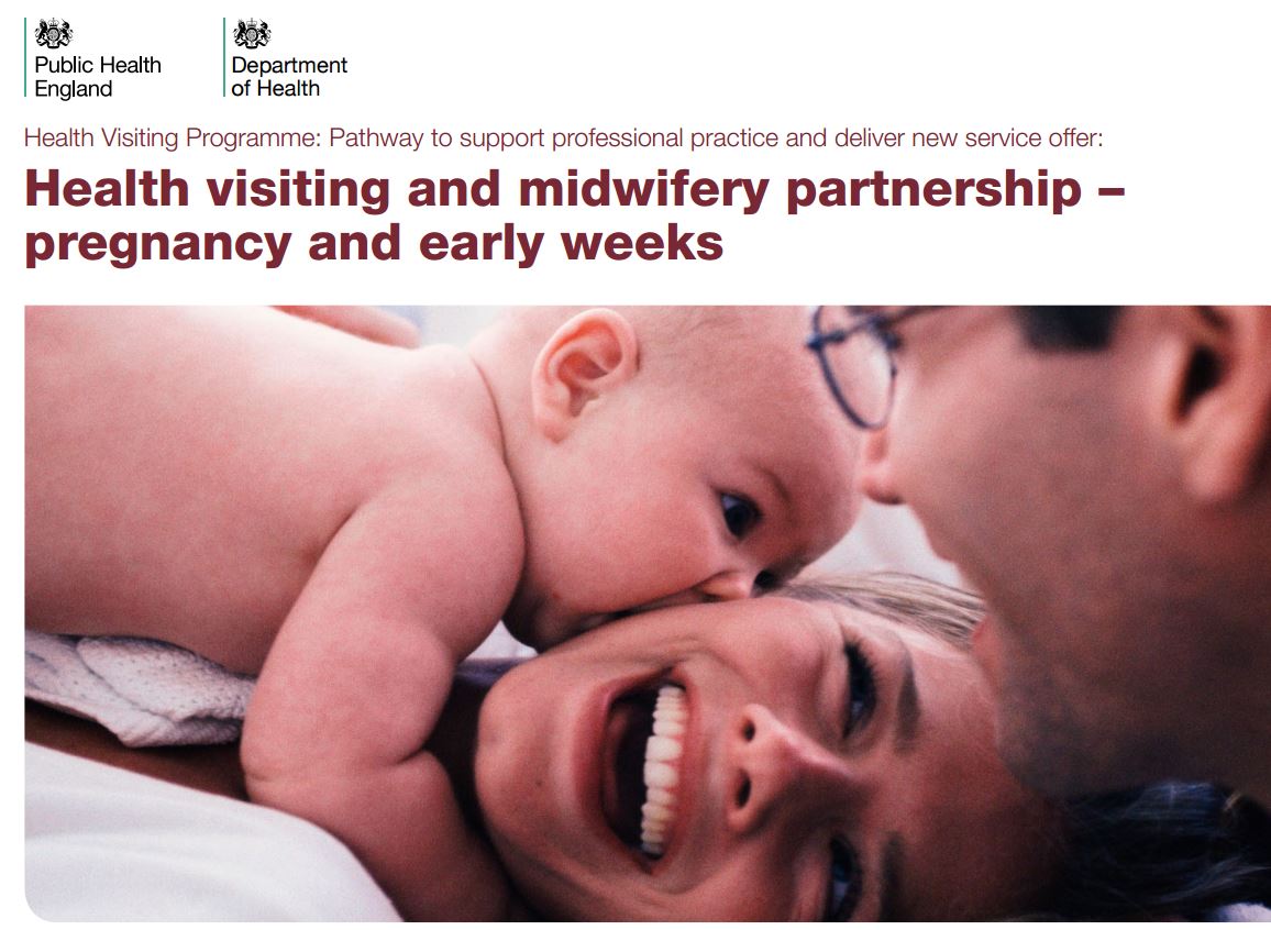 Domestic abuse dissertation midwifery